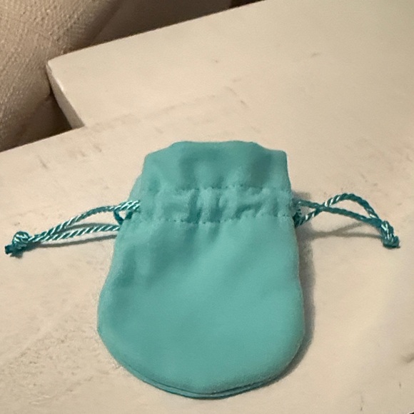 Tiffany & Co. Turquoise Jewelry Pouch - Picture 3 of 4